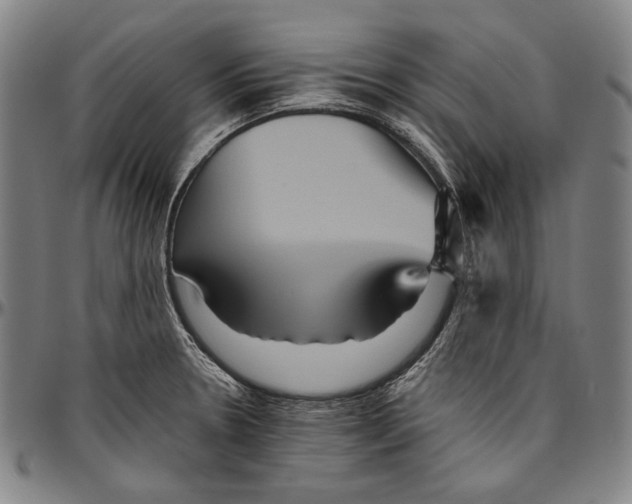 X0000096481330200802211205