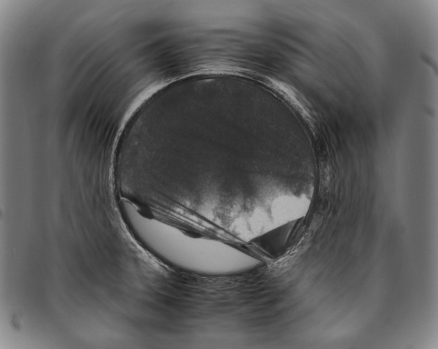 X0000096481331200802211205