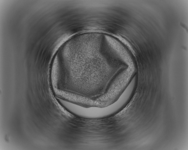 X0000096481333200802211205