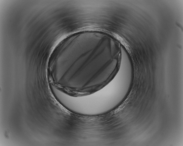 X0000096481334200802211205