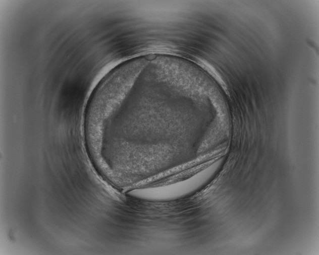 X0000096481339200802211205