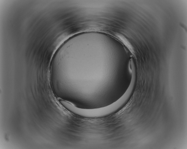 X0000096481340200802211205