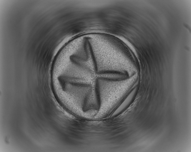 X0000096481341200802211205