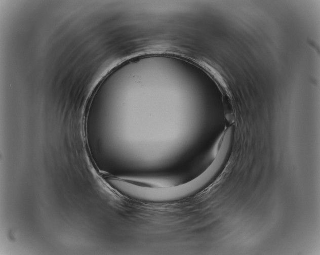 X0000096481342200802211205