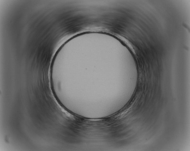 X0000096481343200802211205