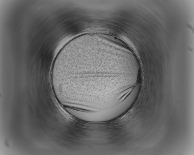 X0000096481344200802211205