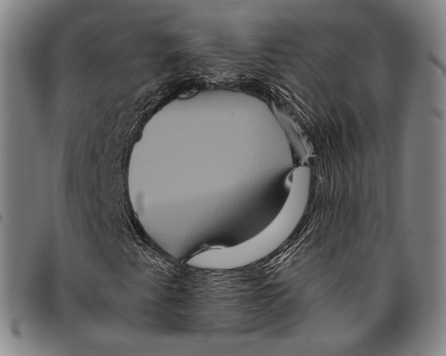 X0000096481345200802211204