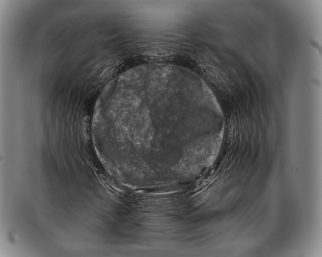 X0000096481346200802211204