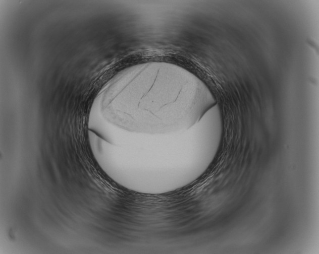 X0000096481348200802211204