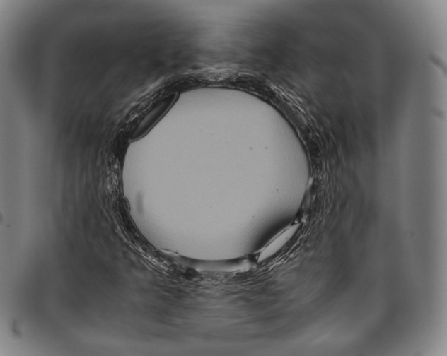 X0000096481349200802211204