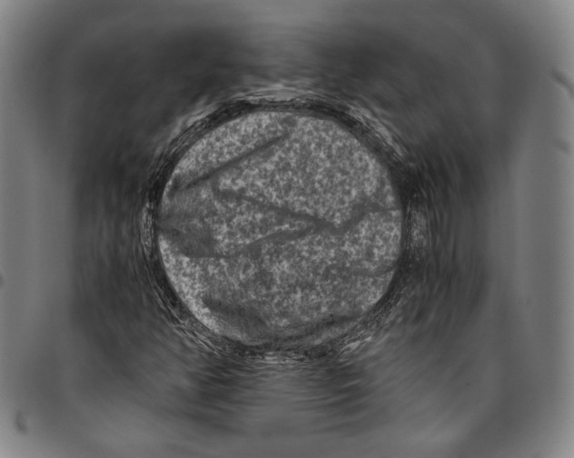 X0000096481350200802211204