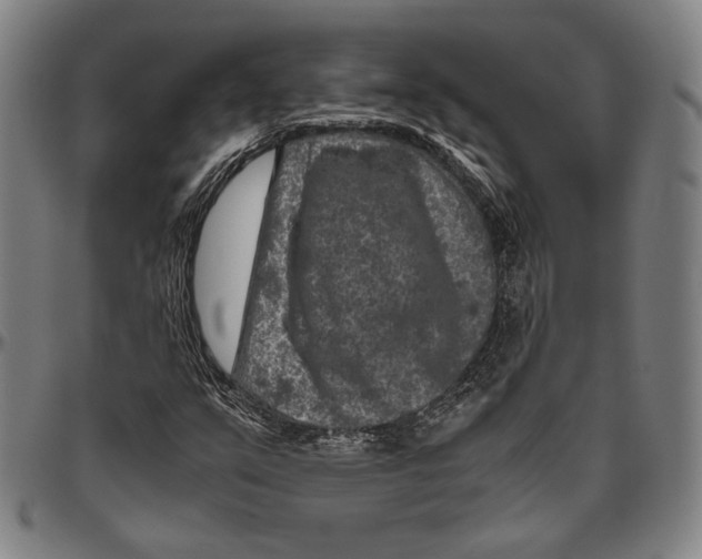 X0000096481351200802211204