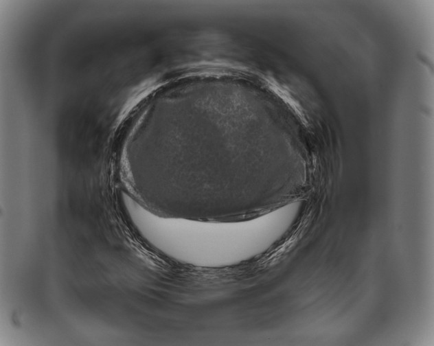 X0000096481352200802211204