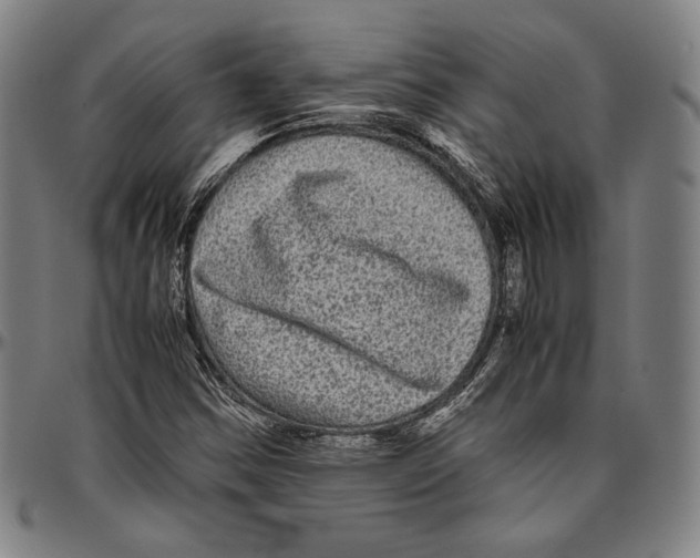 X0000096481354200802211204