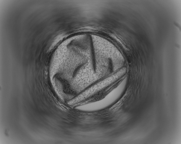 X0000096481355200802211204