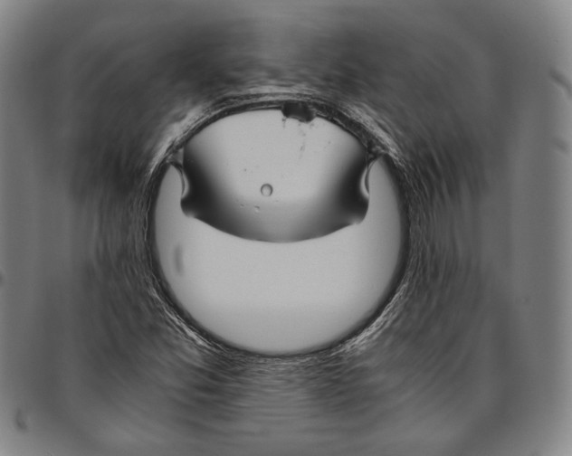 X0000096481357200802211204