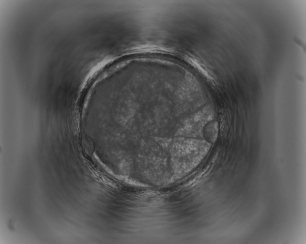 X0000096481358200802211204