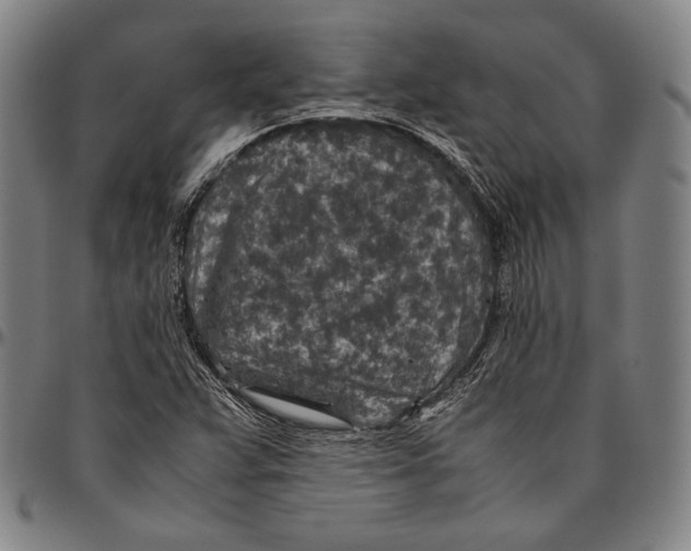 X0000096481359200802211204