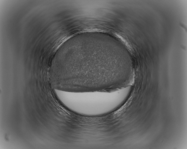 X0000096481361200802211204