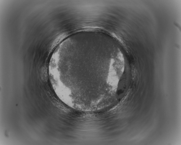 X0000096481362200802211204