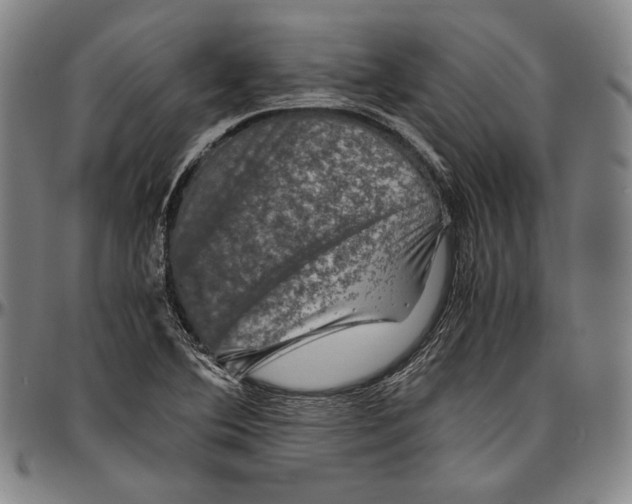 X0000096481364200802211204