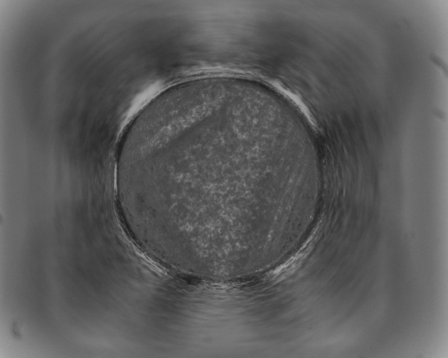 X0000096481365200802211204