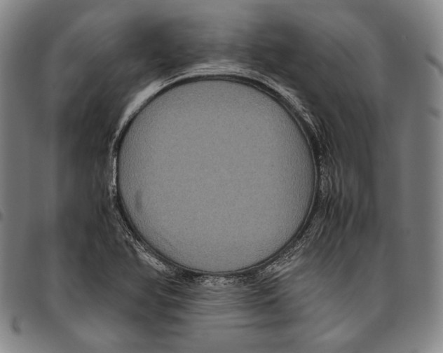 X0000096481366200802211204