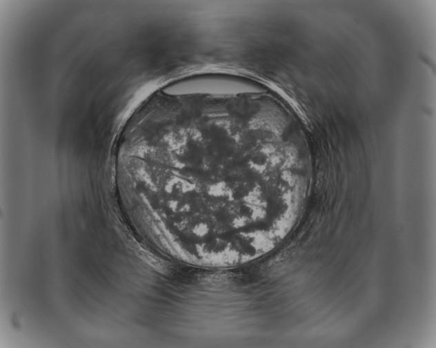 X0000096481367200802211204