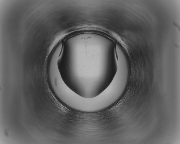 X0000096481368200802211204