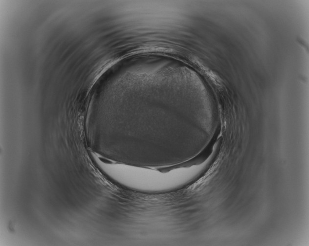 X0000096481369200802211204