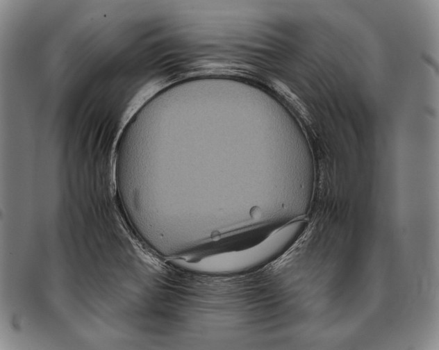 X0000096481370200802211204