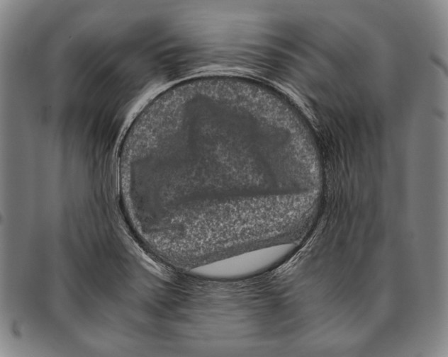 X0000096481371200802211204