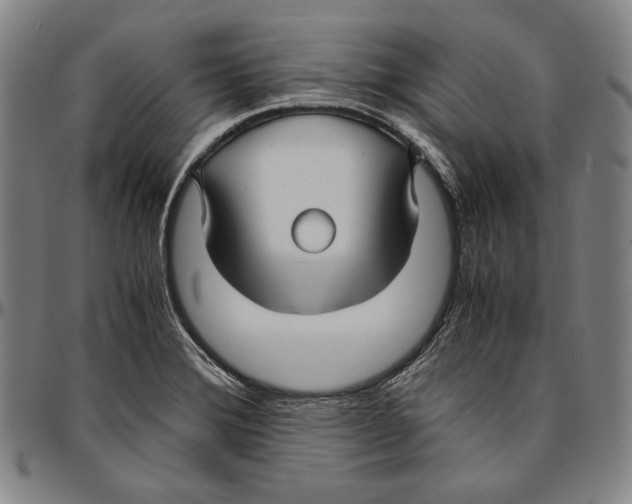 X0000096481372200802211204