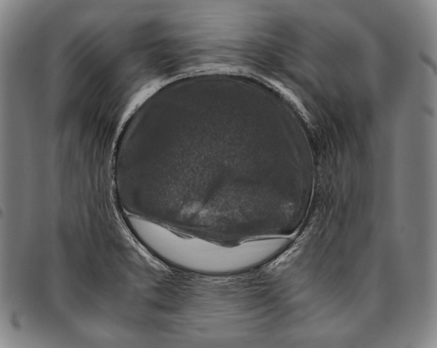 X0000096481373200802211204