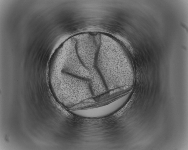 X0000096481374200802211204