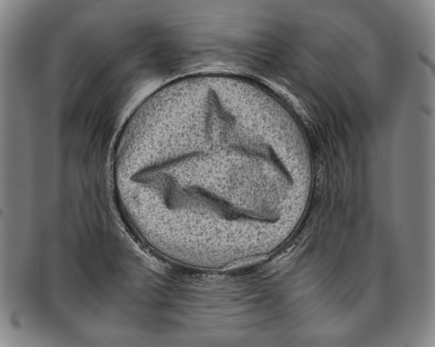 X0000096481375200802211204