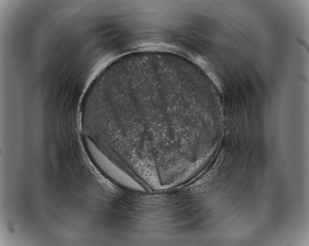 X0000096481376200802211204