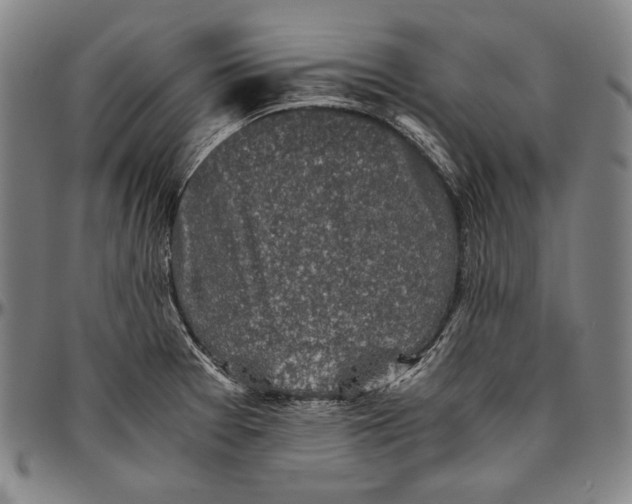 X0000096481377200802211204