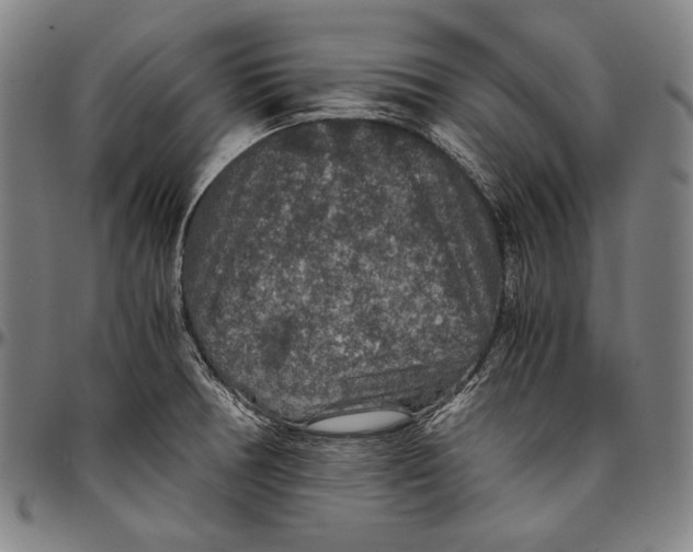 X0000096481378200802211204