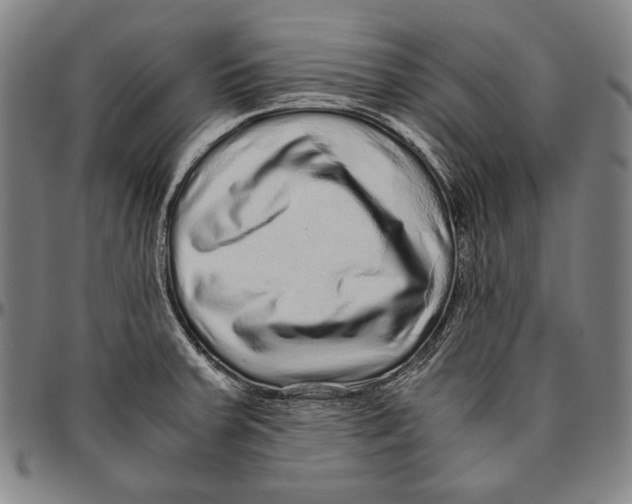 X0000096481379200802211204