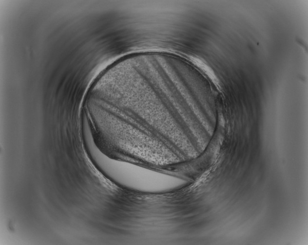 X0000096481380200802211204