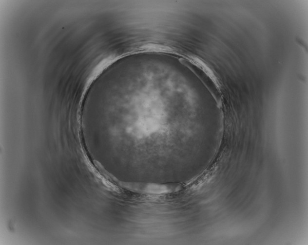 X0000096481381200802211204