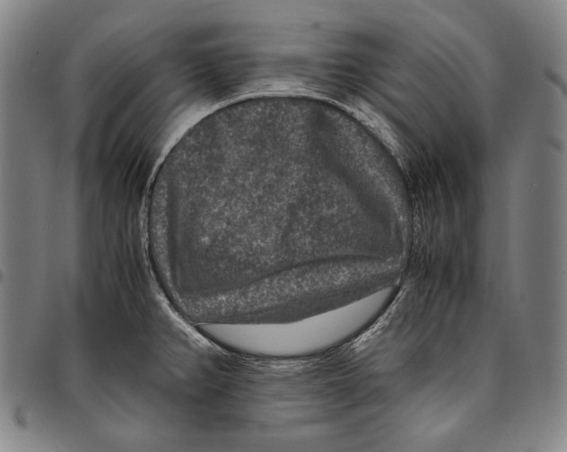 X0000096481382200802211204