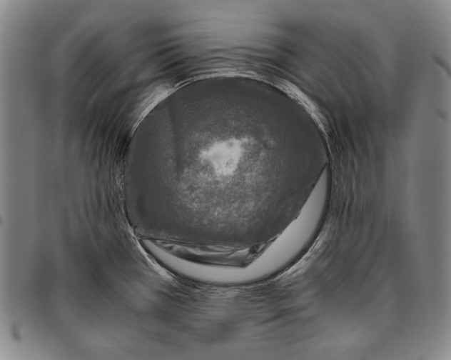 X0000096481385200802211204