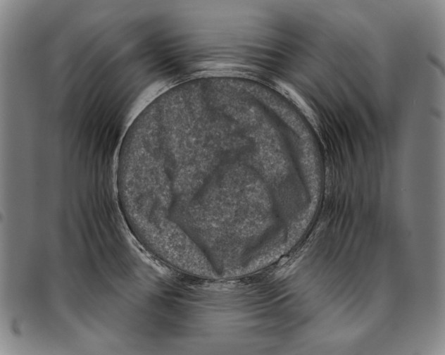 X0000096481386200802211204