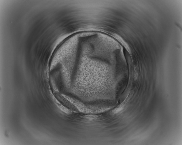 X0000096481388200802211204