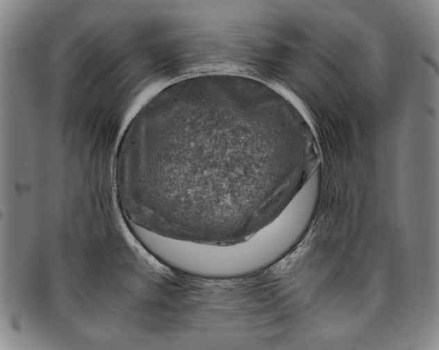 X0000096481389200802211204