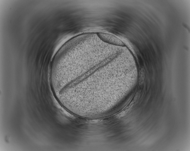 X0000096481390200802211204