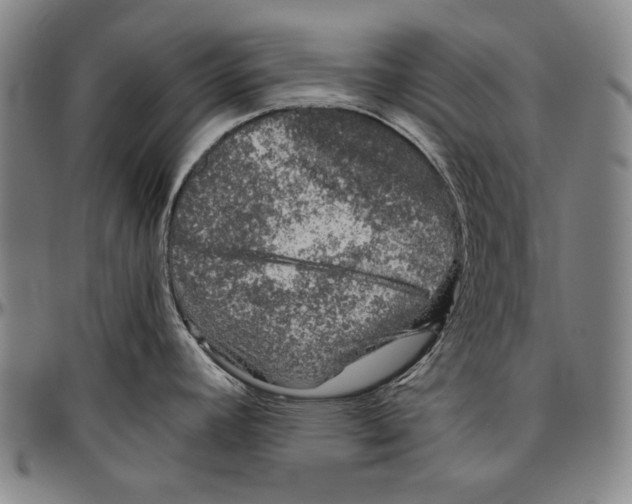 X0000096481392200802211204