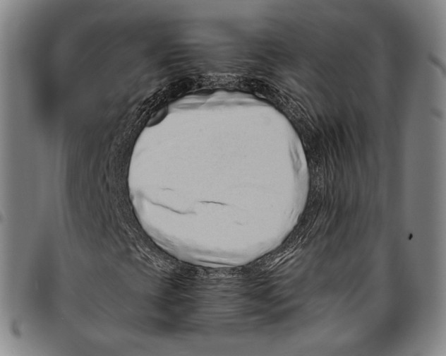 X0000096481393200802211203